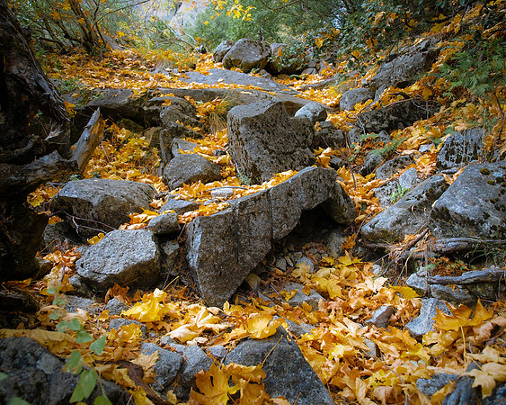 Leaves and Granite