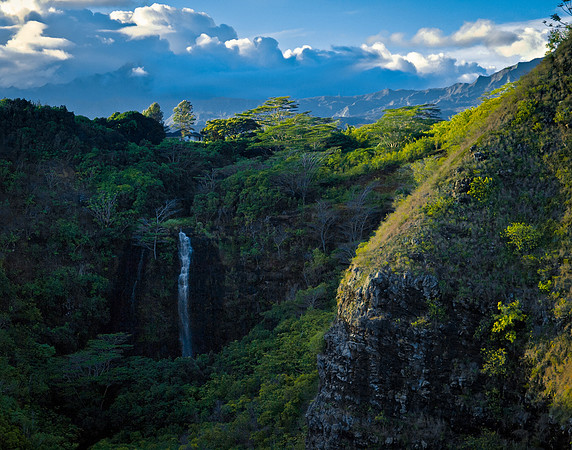 Opaeka'a